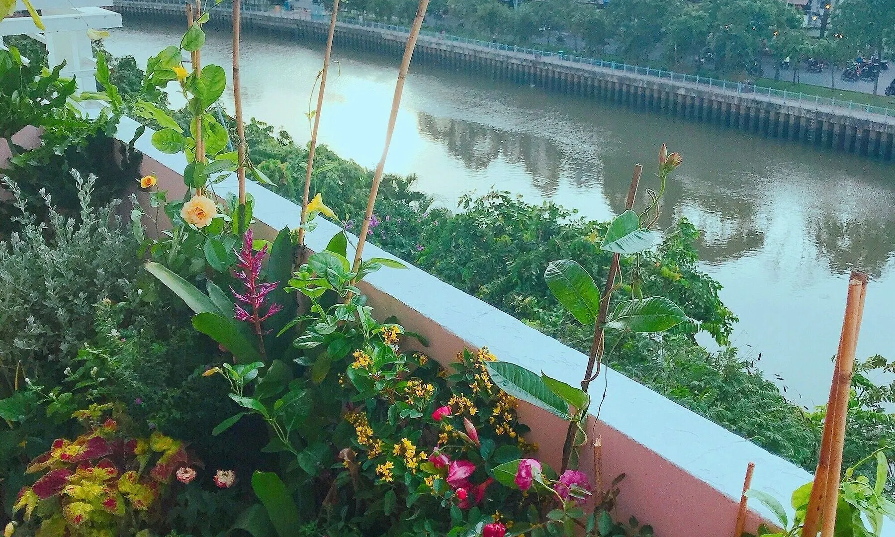 Bee Tropicool Apartment Ho Chi Minh City Vietnam