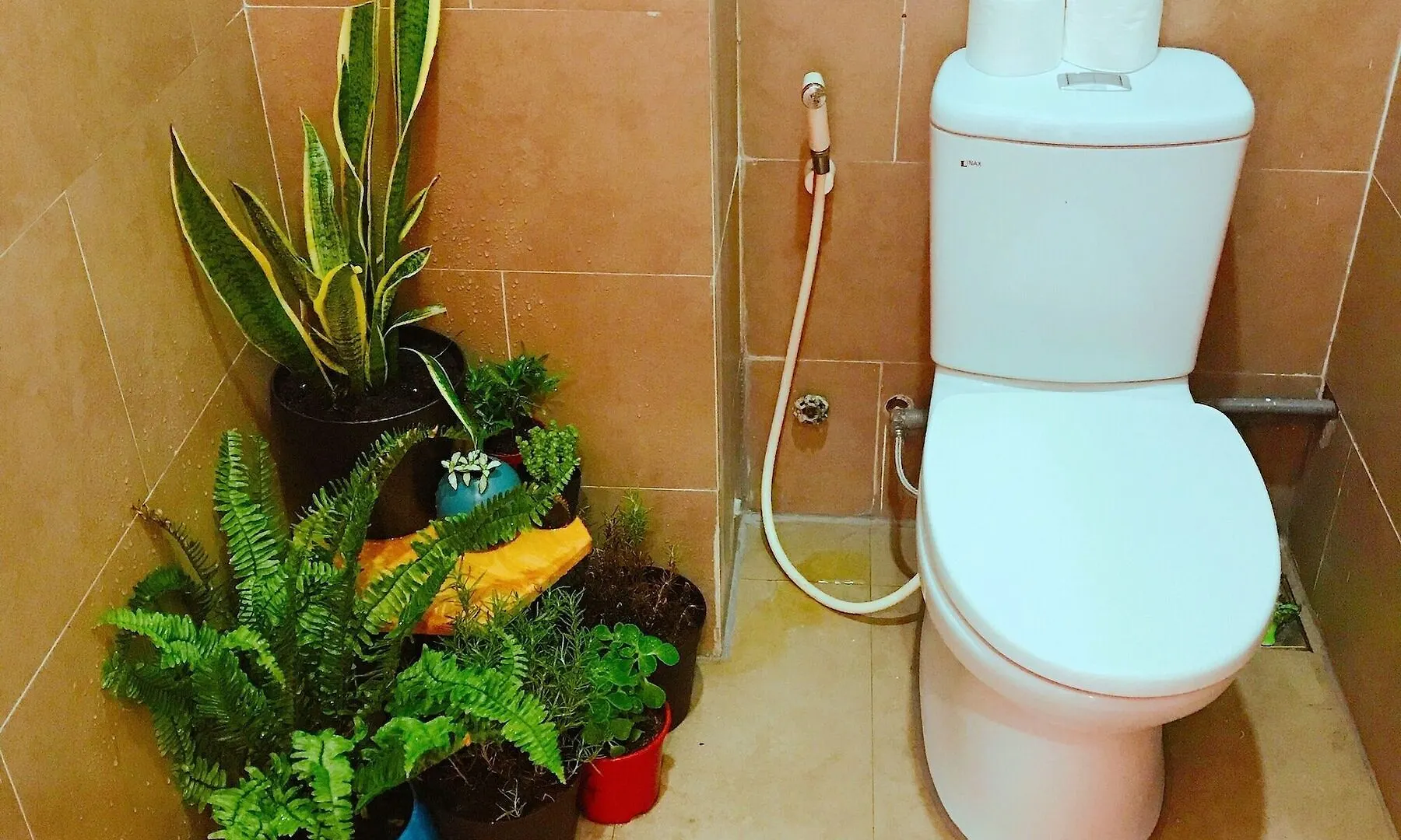 Bee Tropicool Apartment Ho Chi Minh City