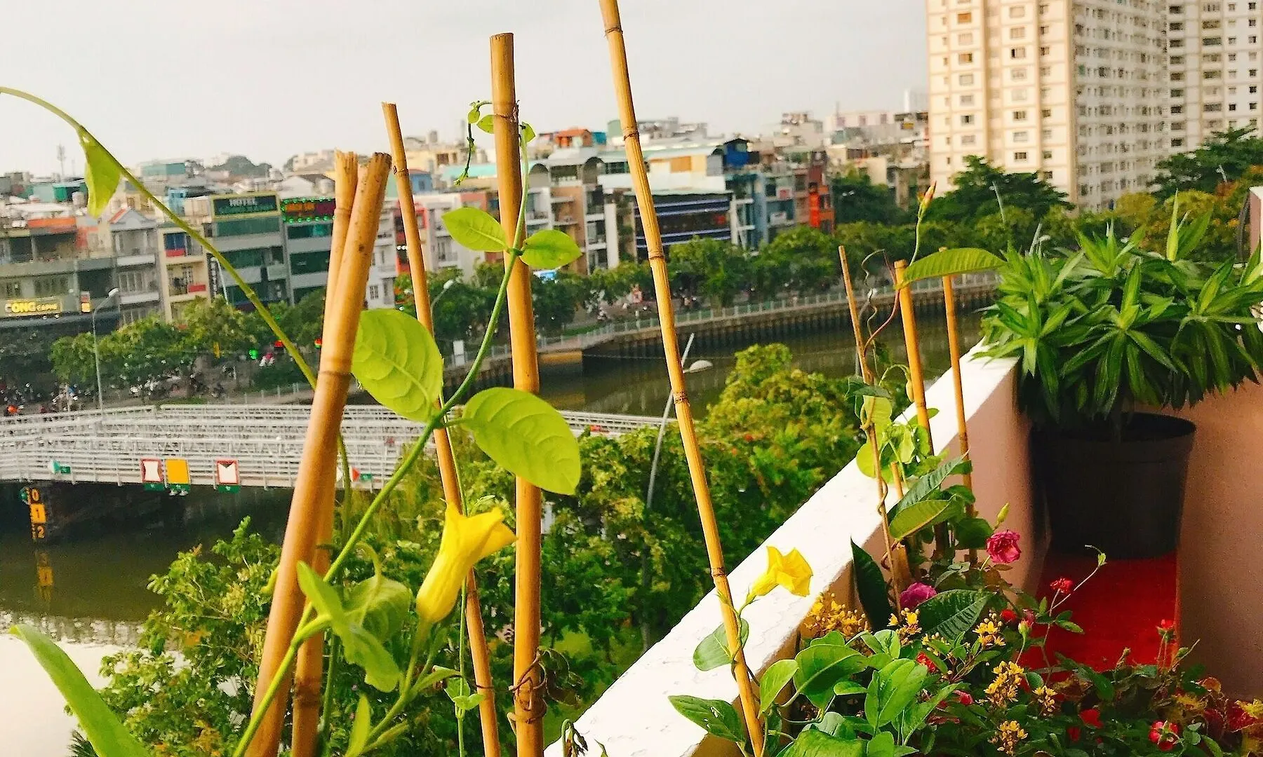 Bee Tropicool Apartment Ho Chi Minh City
