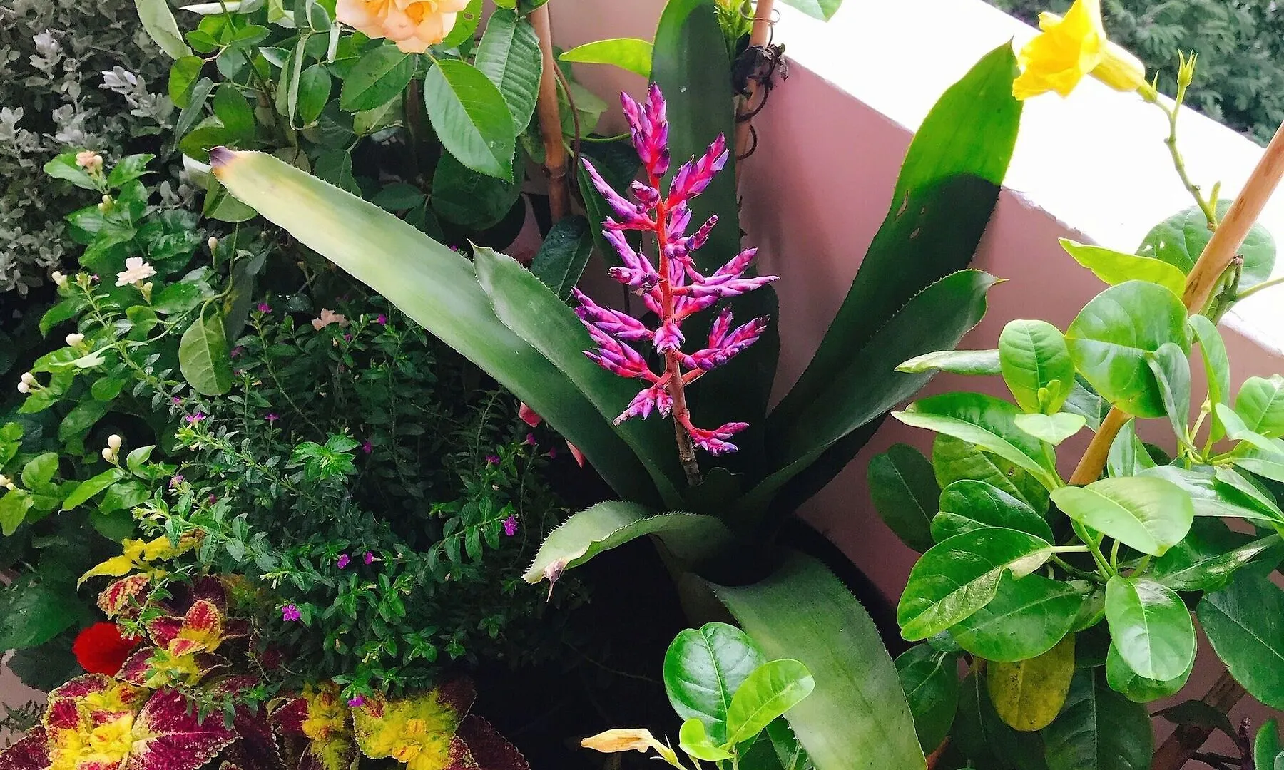 Bee Tropicool Apartment Ho Chi Minh City 0*,  Vietnam